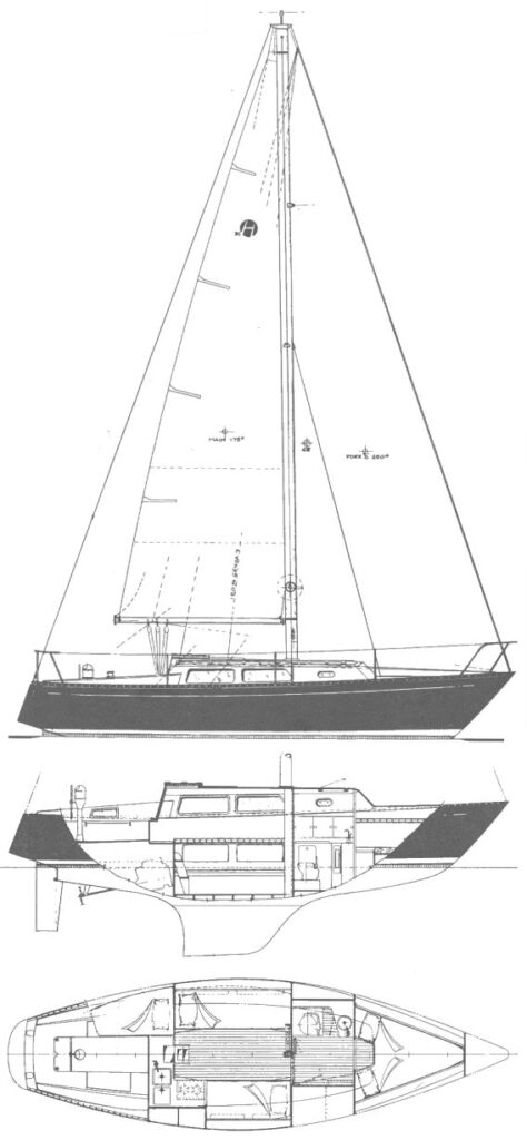 HELMS 30 - Drawing