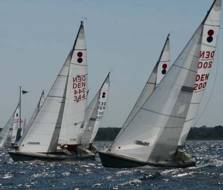 INTERNATIONAL 806 - Photo