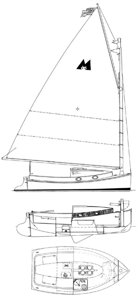 MENGER CAT 17 - Drawing