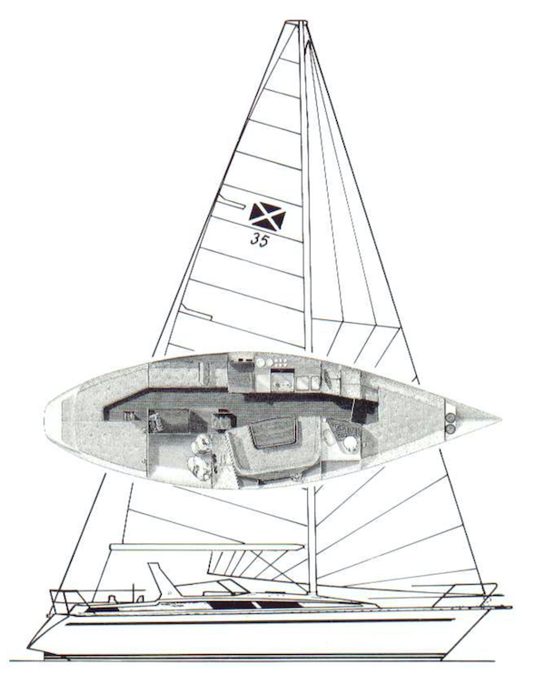 MAXI 35 - Drawing