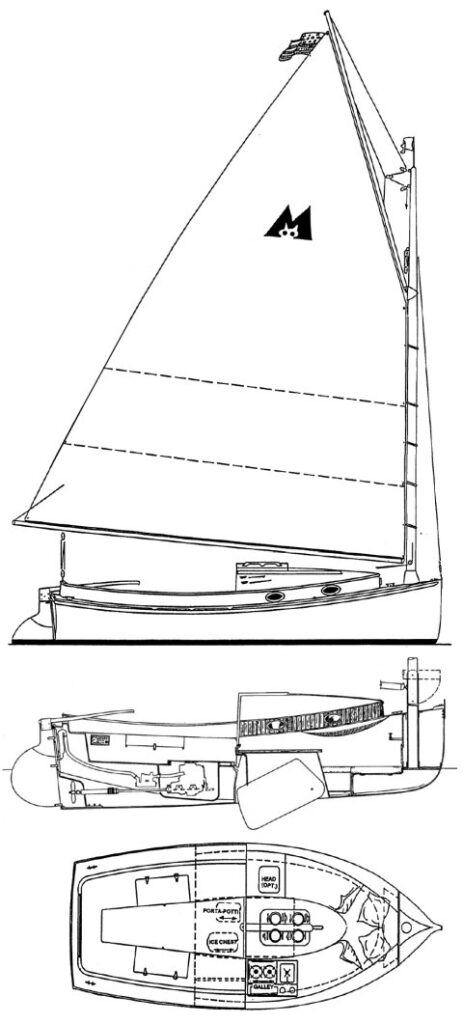 MENGER CAT 19 - Drawing