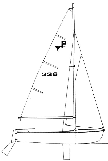 PINTAIL - Drawing