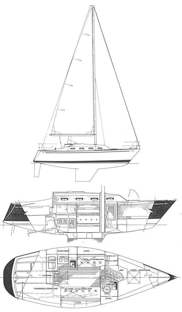 TARTAN 28