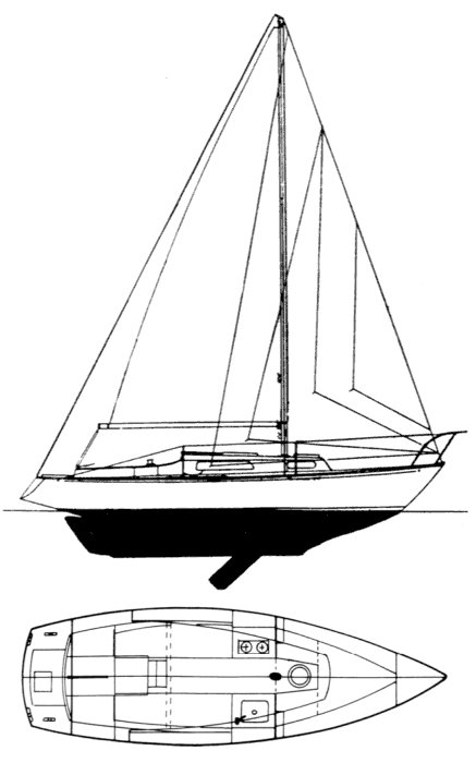 ELIZABETHAN 23 - Drawing