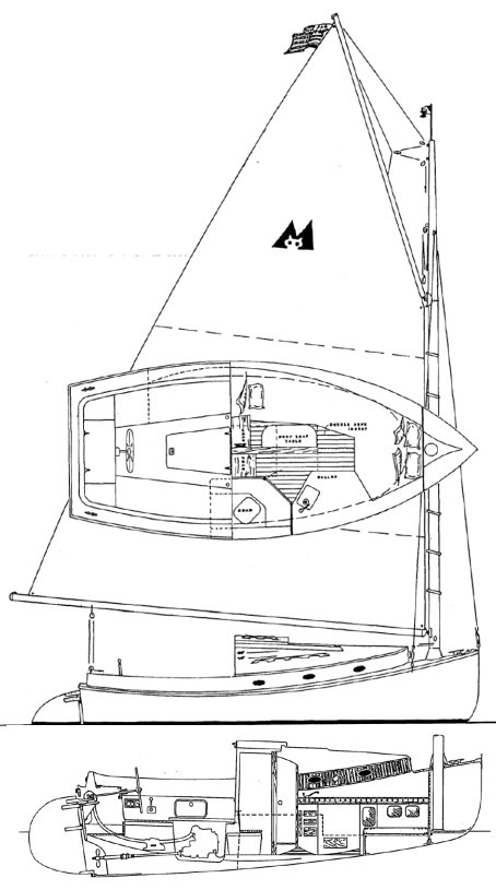 MENGER CAT 23 - Drawing
