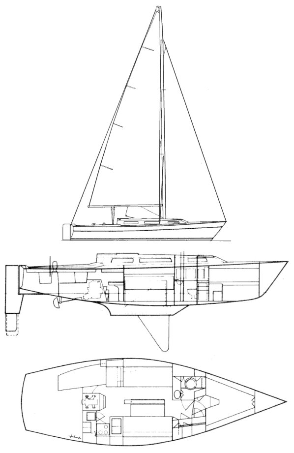 NIGHTWIND 35 - Drawing