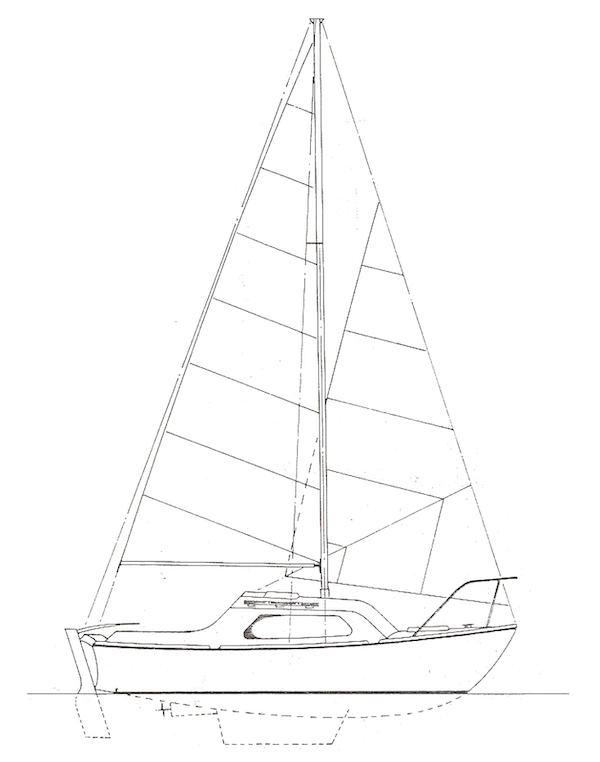 NORMAN S19 - Drawing